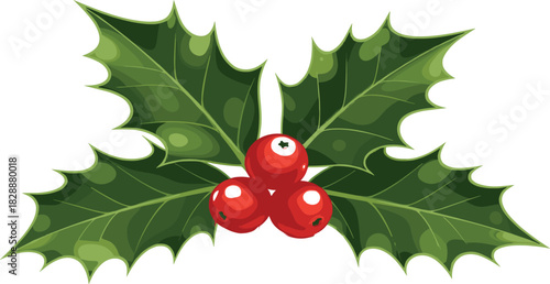 Festive Holly Sprig A Classic Holiday Decoration with Berries and Green Leaves for Christmas Cheer