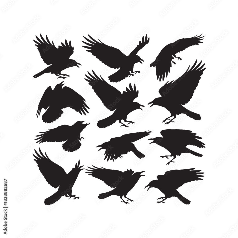 Obraz premium Raven Flying Silhouette Vector Set