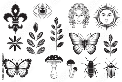 Botanical & Insect Line Art – Nature Sketch Illustration Set
