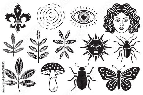 Botanical & Insect Line Art – Nature Sketch Illustration Set