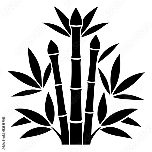 bamboo vector illustration