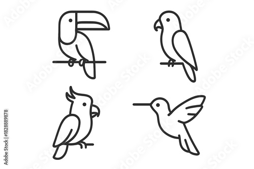 Minimalist line art of tropical birds including toucan, parrot, cockatoo, and hummingbird