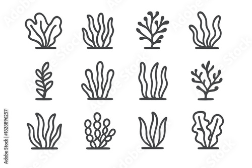 Minimal line symbols depicting diverse types of seaweed, kelp, and aquatic marine flora