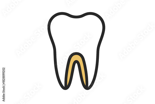 Stylized diagram of a human molar tooth highlighting the internal root structure and dental anatomy