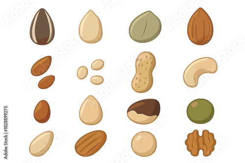 Assortment of healthy edible nuts and seeds including almonds, cashews, peanuts, and walnuts