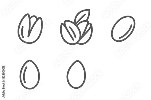 Simple outline symbols of various nuts and seeds including pistachios and almonds