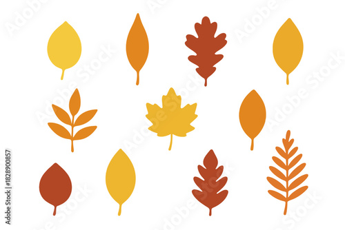 Collection of various autumn leaves in warm fall colors for seasonal design elements