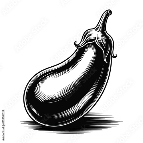 A single, detailed illustration of a ripe eggplant against a white background.