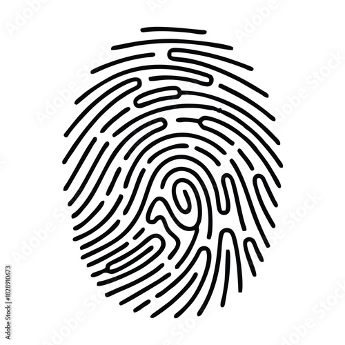 Detailed Fingerprint Illustration A Unique Identification Mark 