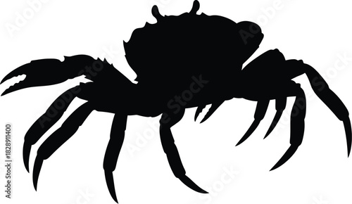 Silhouette of a crab spreading claws