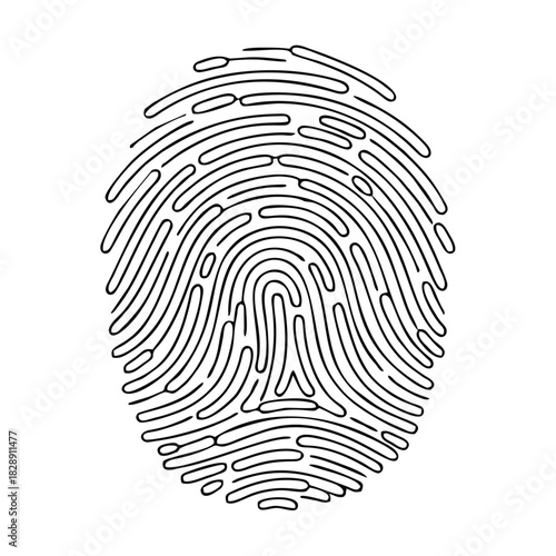 Detailed Fingerprint Illustration A Unique Identification Mark