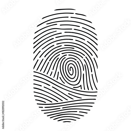 Detailed Fingerprint Illustration A Unique Identification Mark