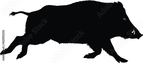 Silhouette of a wild boar running