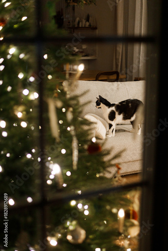Cute cat sitting on couch at stylish christmas tree with glowing lights in cozy living room in evening. Merry Christmas and Happy holidays! Pet in atmospheric christmas eve
