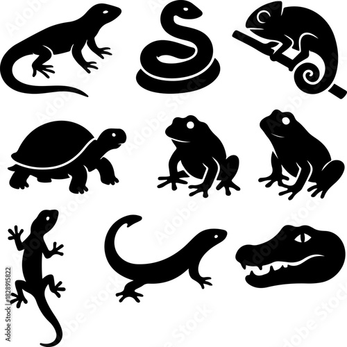 Collection of reptile and amphibian silhouettes featuring a lizard snake chameleon turtle frog alligator and salamander isolated on a white background for design and illustration
