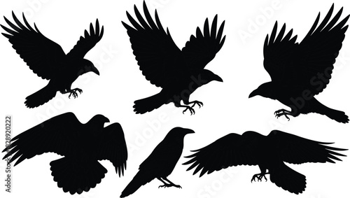 Set of raven and crow black silhouettes, large birds flying and perched, wings spread, detailed vector illustration, gothic, dark, mystical, and wildlife graphic design elements.