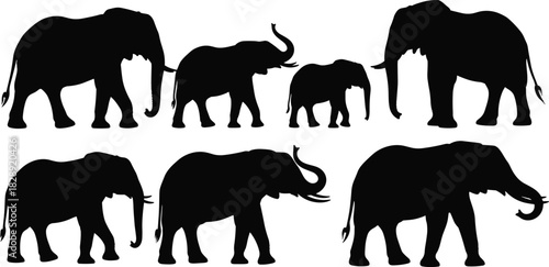 Elephant black silhouettes vector set, diverse poses, large African and Asian mammals, illustrating wildlife, safari, nature, conservation, and majestic animal graphic elements.