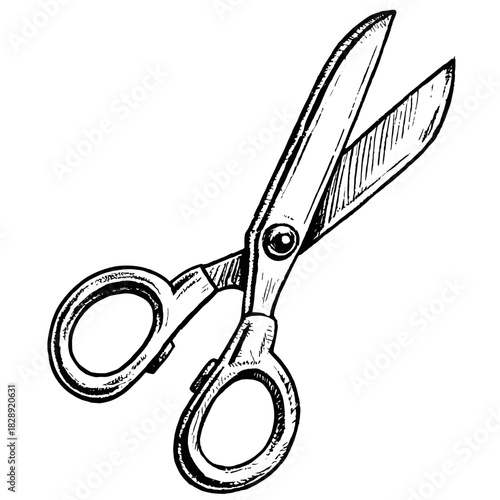 Scissors illustrated in detailed line art style on white background  