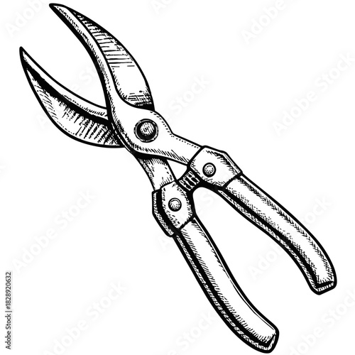 Scissors for cutting plants in vintage sketch style  