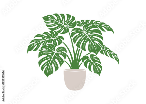 Vector illustration of a house plant, perfect for your interior design and decoration needs. This tropical plant is a fantastic choice for sprucing up your home or office space.