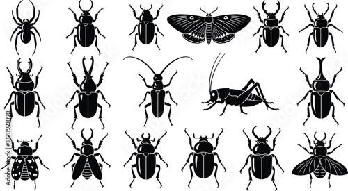 Insect vector black silhouettes set, collection of beetle, spider, moth, longhorn, and cricket species, detailed anatomy, entomology, nature, and educational graphic elements.