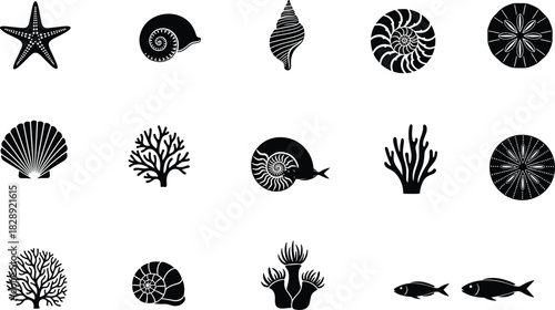 Black marine silhouettes, sea shells, starfish, coral icons on white background, ocean nature elements, beach artwork, nautical design, underwater symbol collection, vector style illustrations