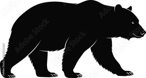 Silhouette of a walking bear in profile with visible claws, textured fur, and muscular body for wildlife design themes