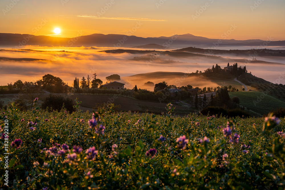 Obraz premium alba sul podere