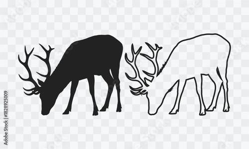 Silhouette and outline of two deer grazing stag buck