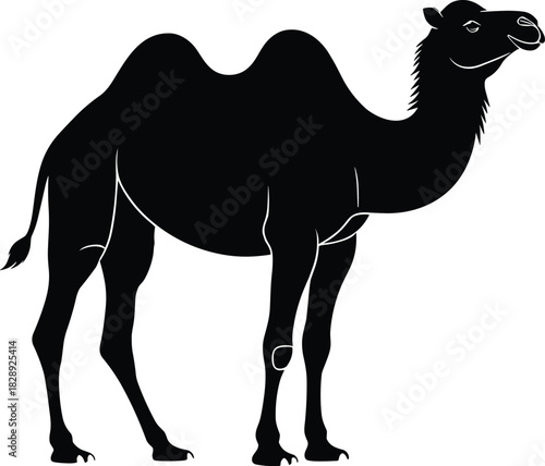 Silhouette of a standing Bactrian camel with two humps and detailed body contours for wildlife and design themes