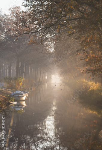 Sun rays shining through the trees at a canal during an autumn morning.