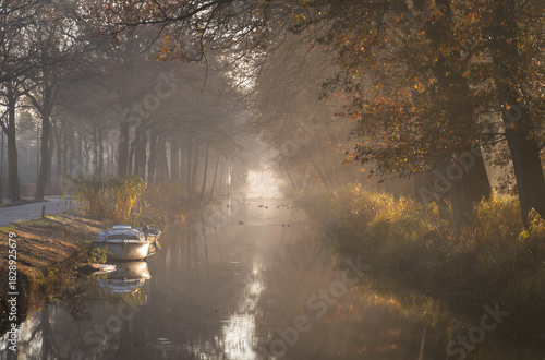Sun rays shining through the trees on a canal during an autumn morning.