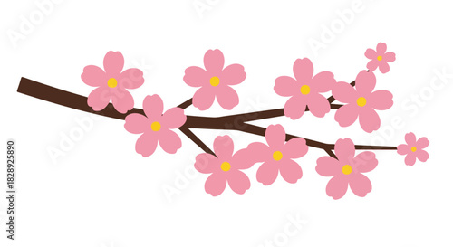 Blossoming cherry branch with delicate pink flowers against a clean white background