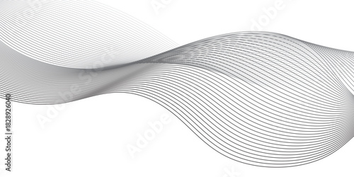 Abstract technology lines on white background. Undulate Grey Wave Swirl, frequency sound wave, twisted curve lines with blend effect, wave with lines created using blend tool.	