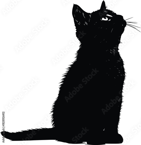 Silhouette of a sitting cat looking upward with detailed fur, whiskers, and tail for pet, design, and decor themes