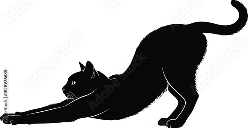 Graceful silhouette of a stretching cat with arched back, extended legs, and raised tail for pet, design, and decor use