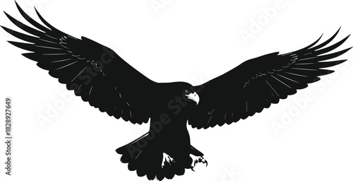 Silhouette of an eagle in flight with spread wings, extended talons, and open beak for wildlife and design themes