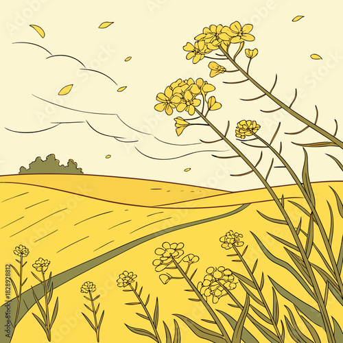 Vibrant yellow rapeseed flowers bloom in a field under a cloudy sky with scattered petals