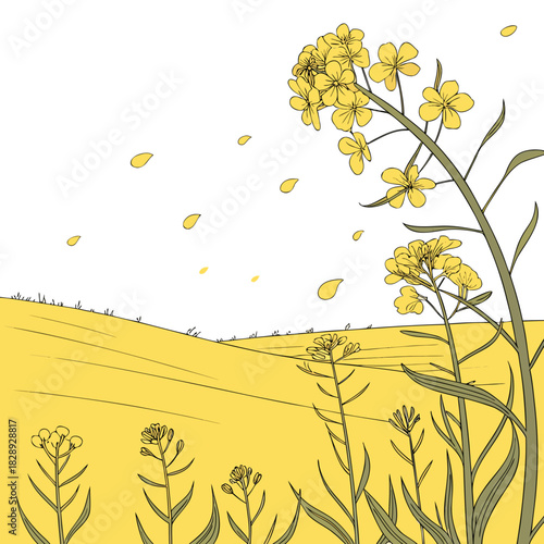 Vibrant yellow rapeseed flowers bloom in a sunlit field with petals gently blowing in the wind