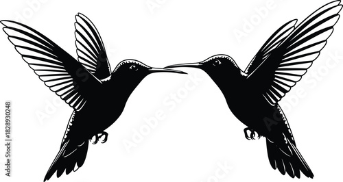 Artistic silhouette of two hummingbirds facing each other in flight with detailed wings and beaks for nature and design themes