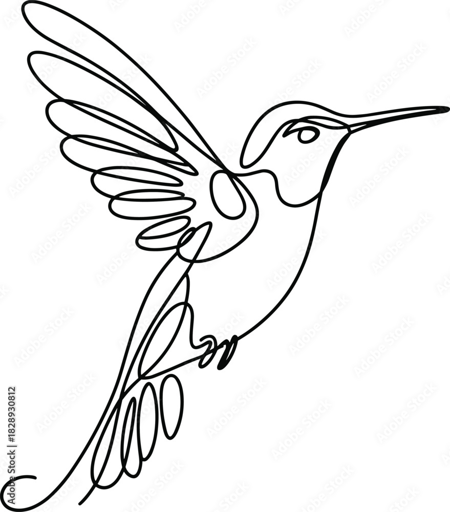 Fototapeta premium Black line art hummingbird in flight with wings spread