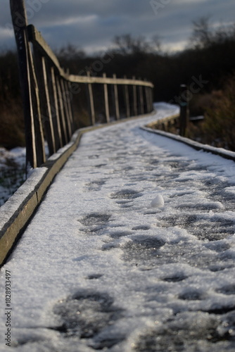 Spaziergang im herbstlichen Naturschutzgebiet Winderatt in Schleswig-Holstein