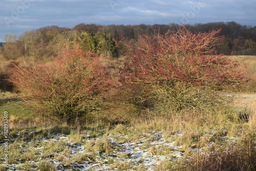 Spaziergang im herbstlichen Naturschutzgebiet Winderatt in Schleswig-Holstein