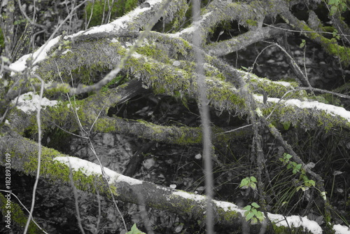 Spaziergang im herbstlichen Naturschutzgebiet Winderatt in Schleswig-Holstein
