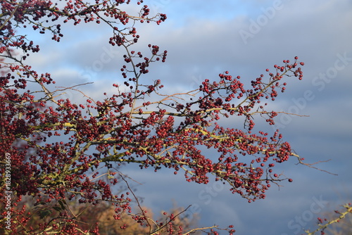 Spaziergang im herbstlichen Naturschutzgebiet Winderatt in Schleswig-Holstein