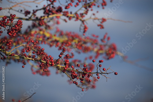 Spaziergang im herbstlichen Naturschutzgebiet Winderatt in Schleswig-Holstein