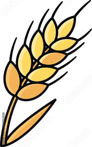Golden wheat ear vector illustration isolated on white background, symbol of agriculture, farming, organic grain and natural harvest design.