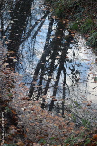 Spaziergang im herbstlichen Naturschutzgebiet Winderatt in Schleswig-Holstein