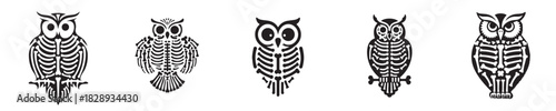 vector set of owl skeleton bones silhouettes