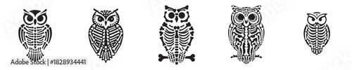 vector set of owl skeleton bones silhouettes